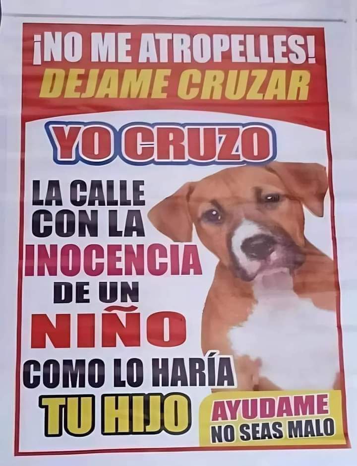 Cartel de concientización con la imagen de un perrito pidiendo no ser atropellado mientras cruza la calle, comparando su inocencia con la de un niño.