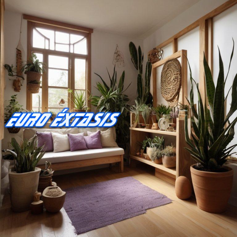 Plantas de interior en un ambiente místico y acogedor.