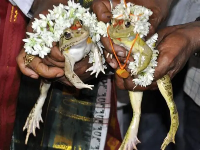 Ranas